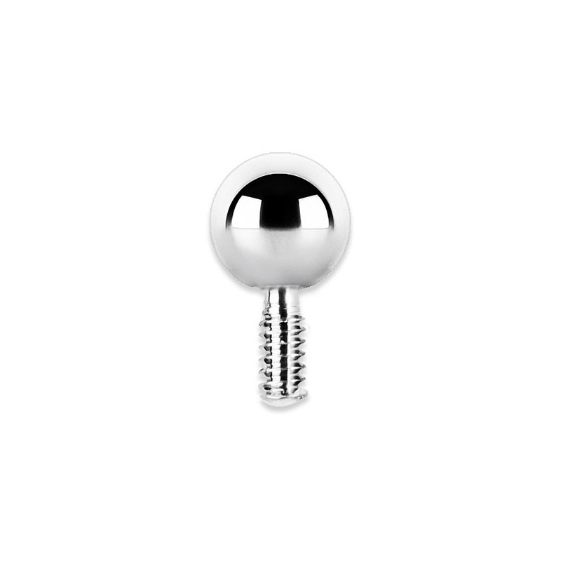 Titanium Attachment For Internal Micro Barbells