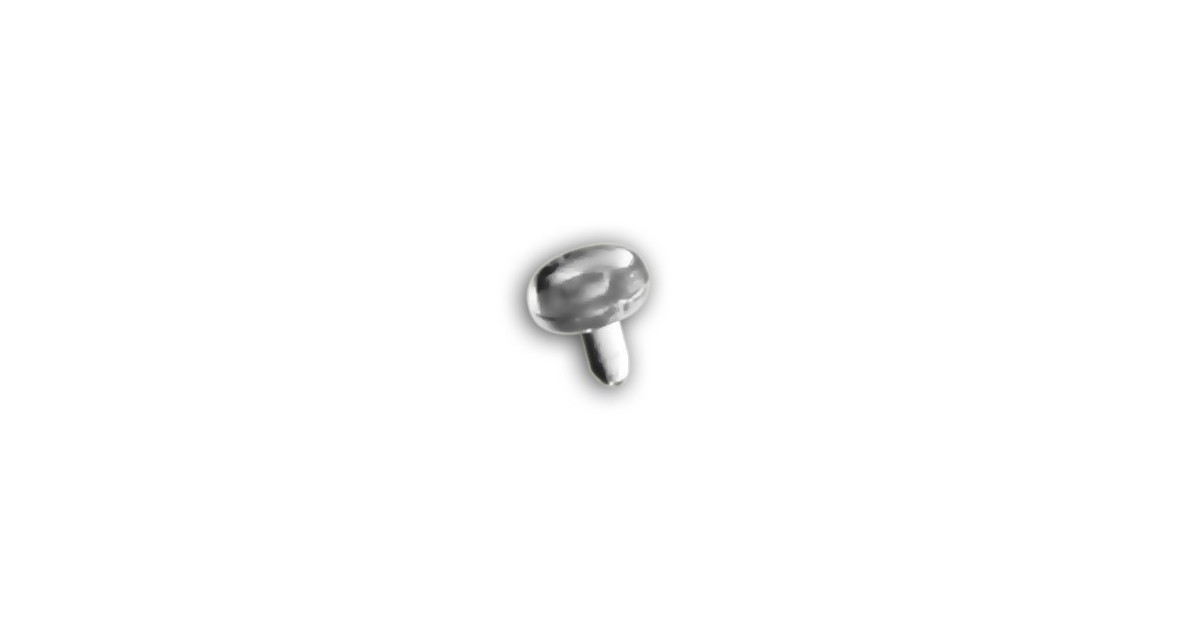 Bioflex Push Fit Labret Heads 2mm Bioflex Push Fit Labret Heads 2mm