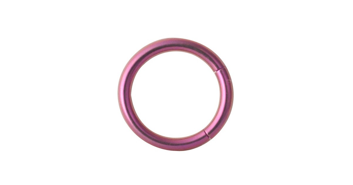 Tt-pu Smooth Segment Rings Tt-pu Smooth Segment Rings