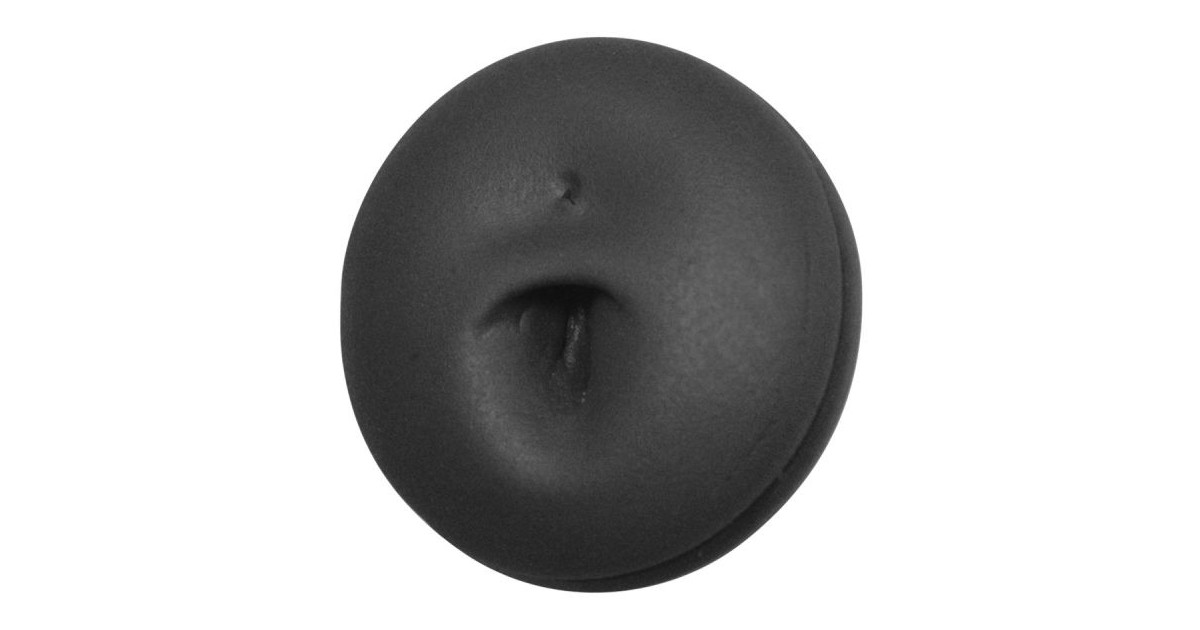 Anatomic Display Belly Anatomic Display Belly