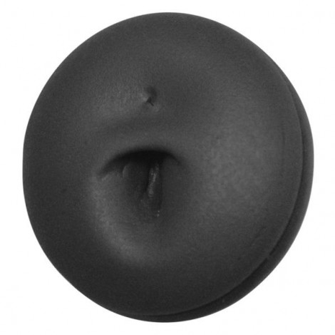Anatomic Display Belly
