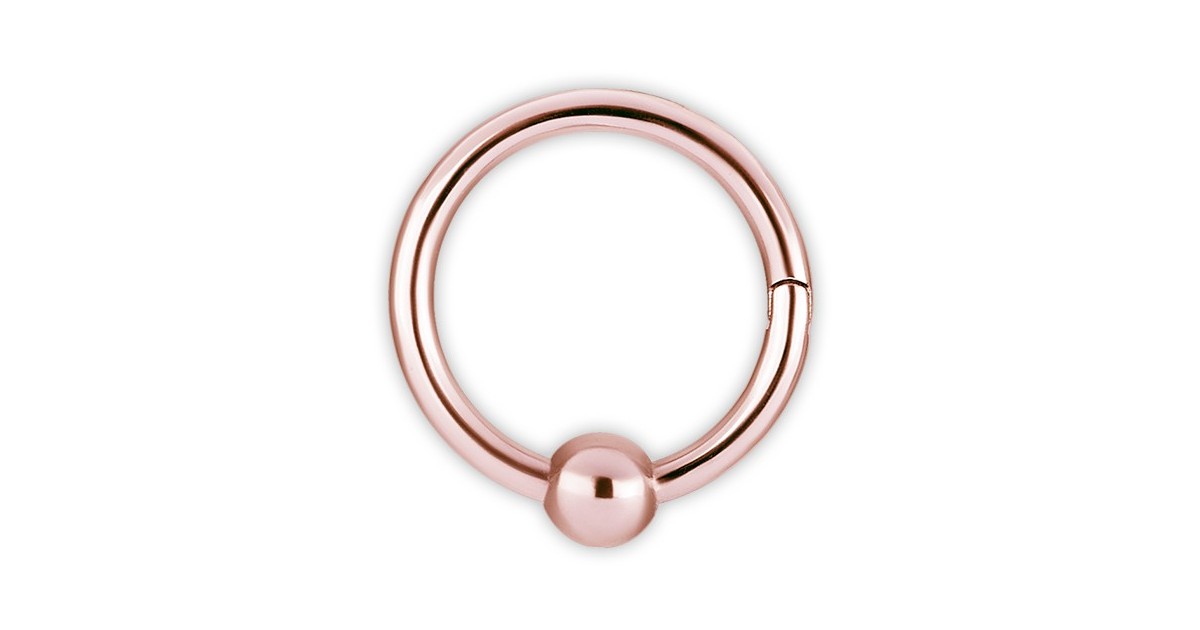 Rg 316 Hinged Ball Closure Ring Rg 316 Hinged Ball Closure Ring