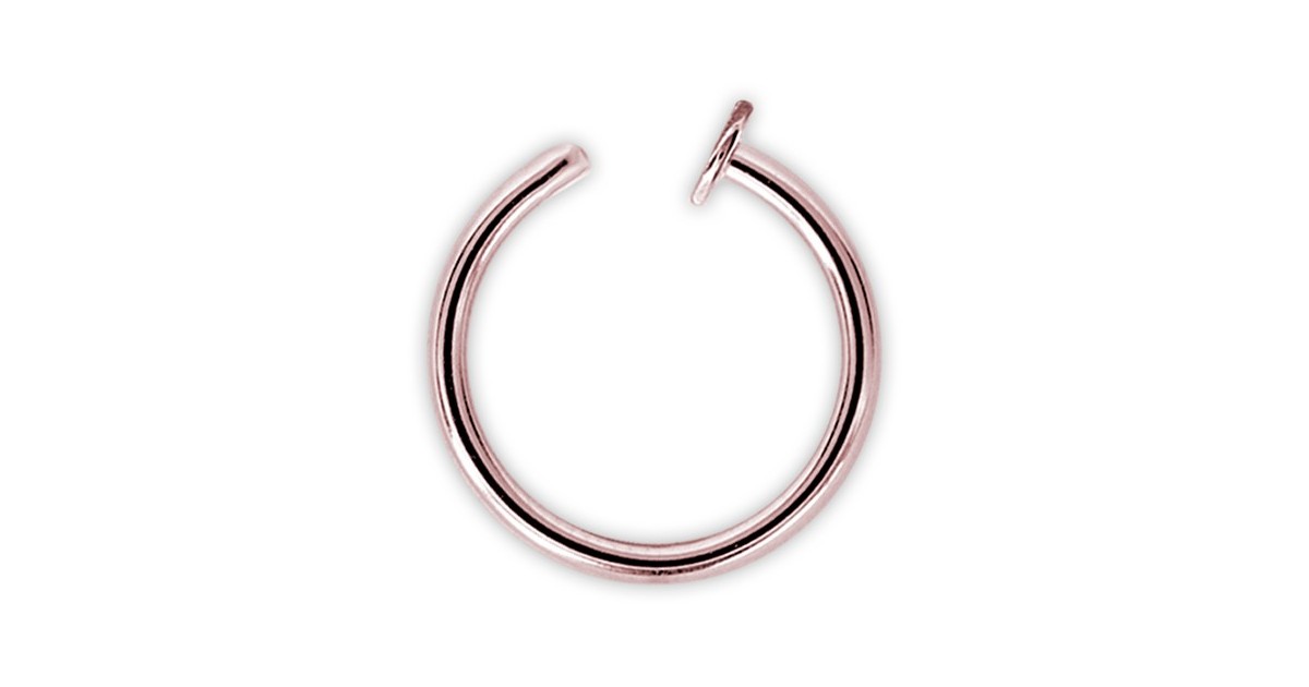 Rg 316 Open Nose Rings
