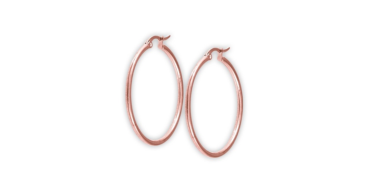 Rg 316 Steel Round Hoop Earrings (2mm)