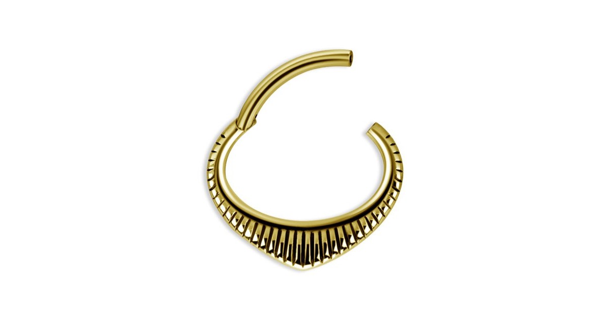 Gd 316 Hinged Septum & Daith Clickers Mod.3 Gd 316 Hinged Septum & Daith Clickers Mod.3
