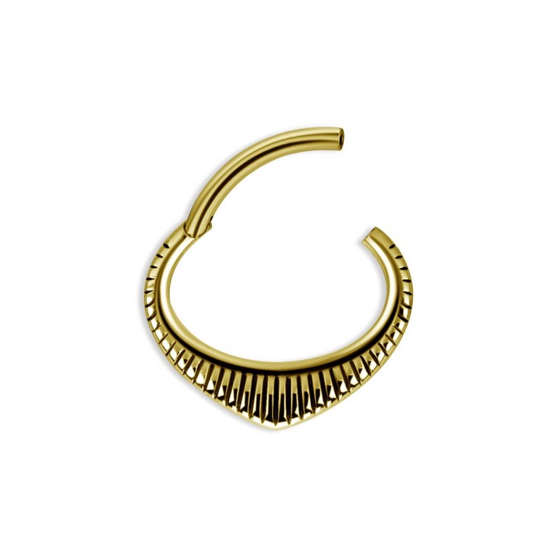 Gd 316 Hinged Septum & Daith Clickers Mod.3